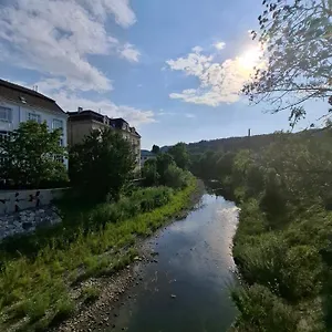 Adelin Vienna
